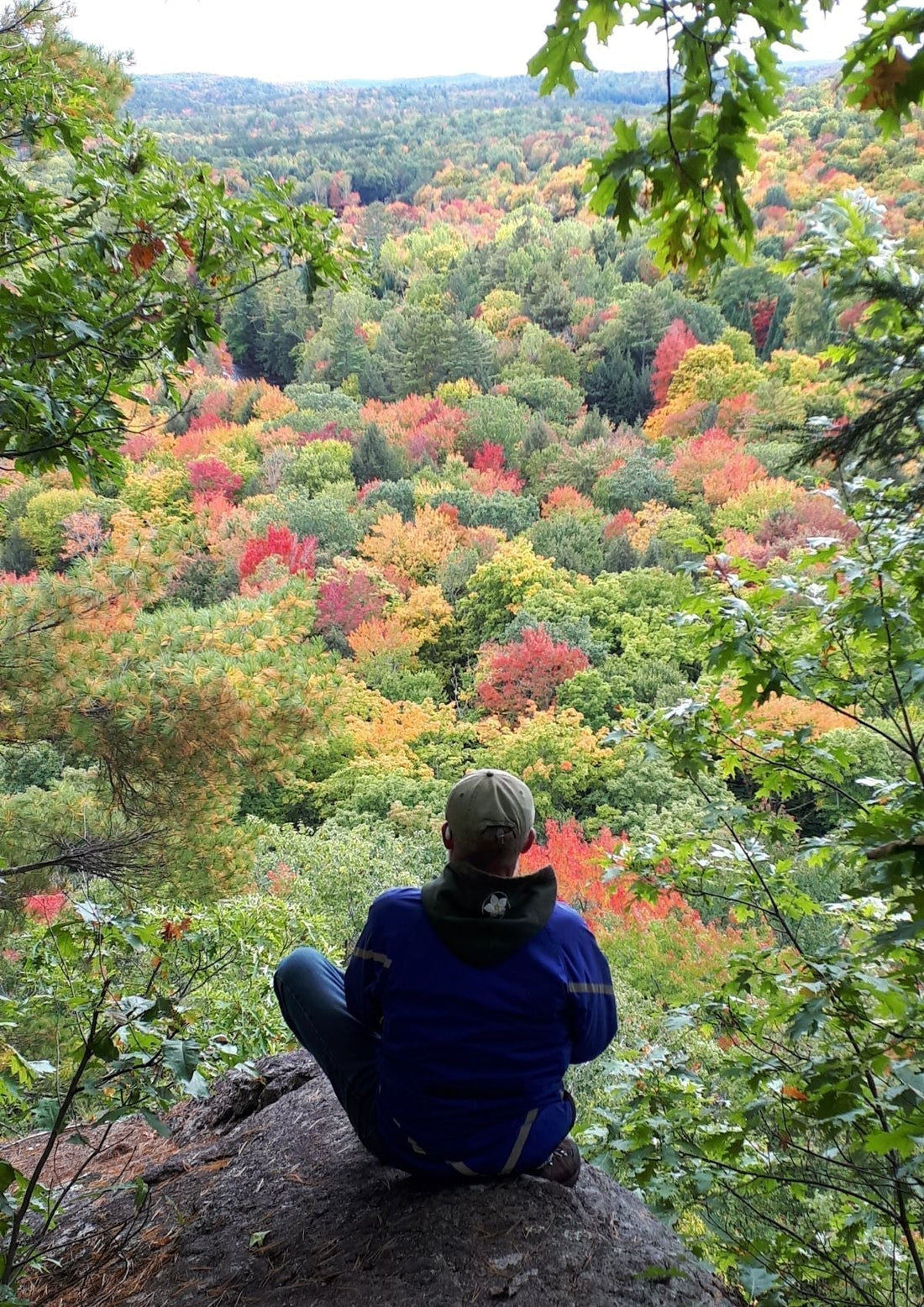 man on a fall day hike taking a break overlooking a valley full of red maples